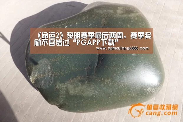 PG电子官方网站