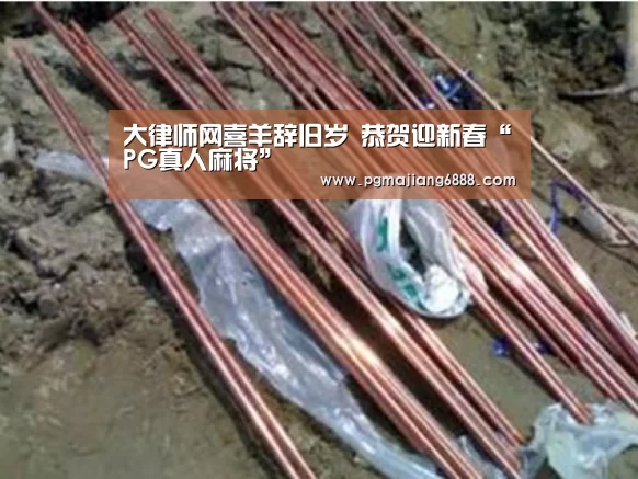 大律师网喜羊辞旧岁 恭贺迎新春“PG真人麻将”(图2) PGAPP下载